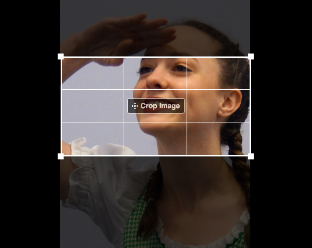 Screenshot of cropping an image for a Facebook ad